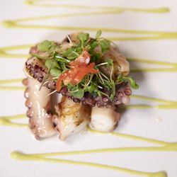 iTalico - Grilled octopus