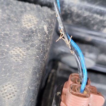 Carvana Chicago - Rat chewed this wires - Car Dealers Near Me - Oak Brook, Illinois Carvana Chicago - Rat chewed this wires - Car Dealers Near Me - Oak Brook, Illinois