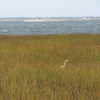 Waterfront Park - Parks Near Me - Charleston, South Carolina Waterfront Park - Parks Near Me - Charleston, South Carolina
