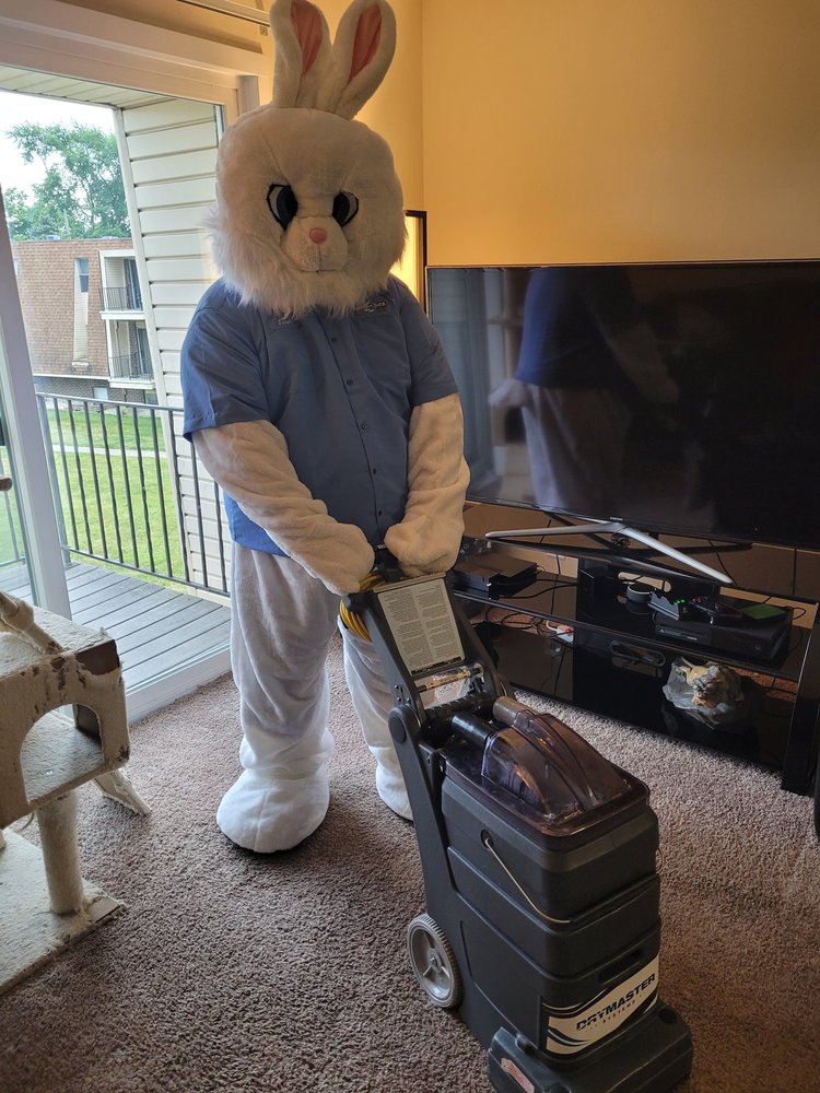 Kottentailz Carpet Cleaning - upholstery in Dayton, OH