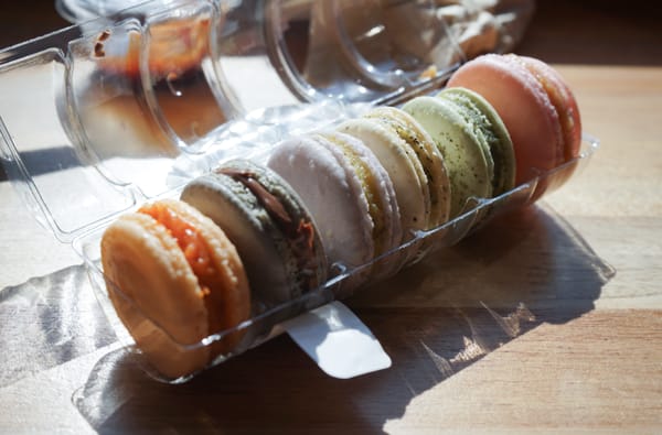 Boston Bonbon by null