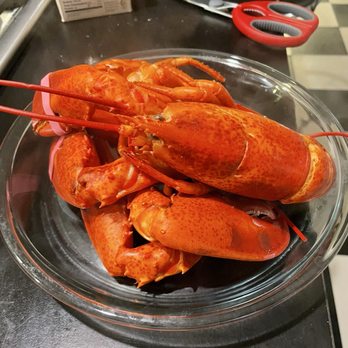 PJ Merrill - Steamed Lobster - Seafood Markets Near Me - Portland, Maine PJ Merrill - Steamed Lobster - Seafood Markets Near Me - Portland, Maine