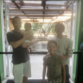 Lindsay Wildlife Experience - Museums Near Me - Walnut Creek, California Lindsay Wildlife Experience - Museums Near Me - Walnut Creek, California