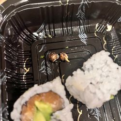 Spicy Salmon Roll