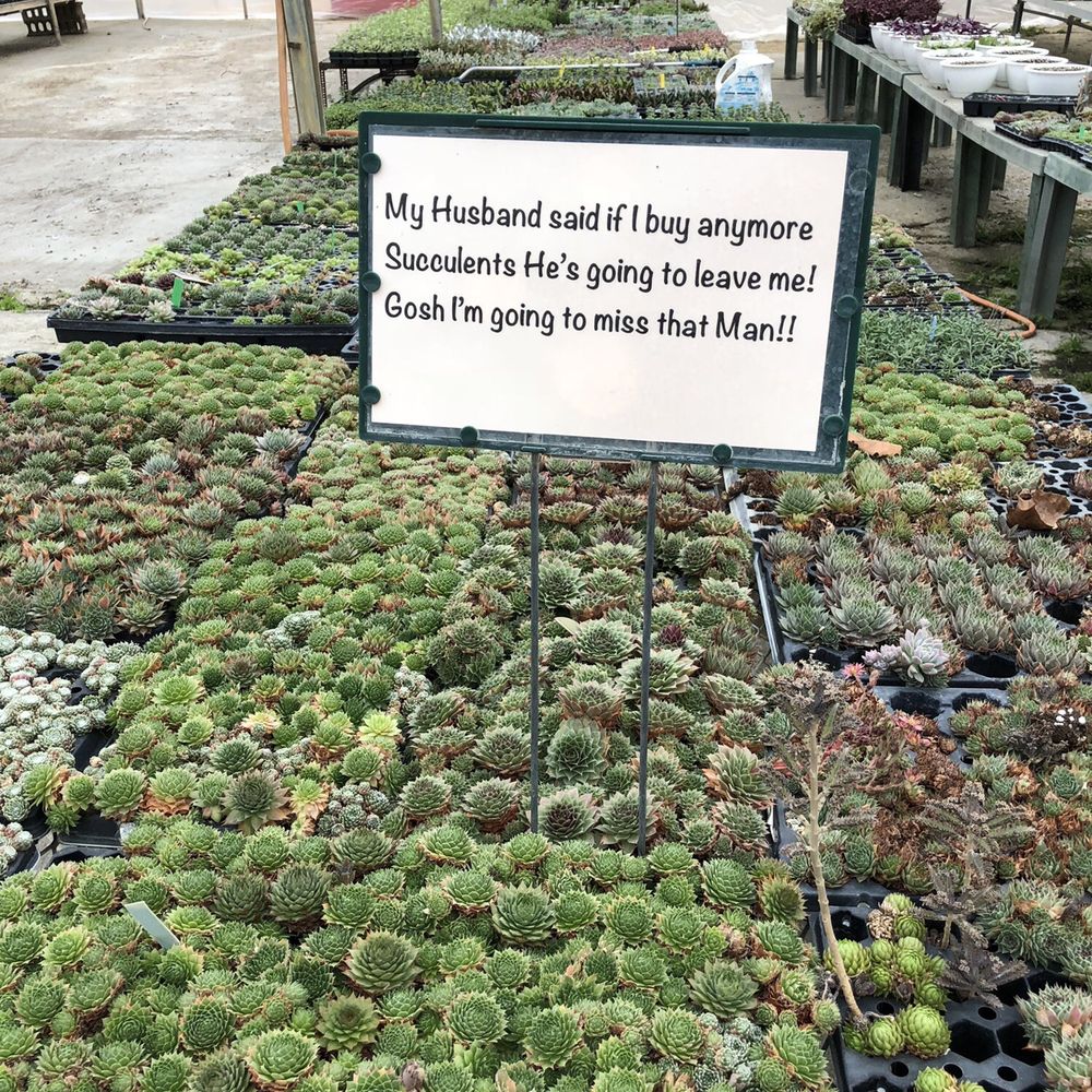 DeMonye's Greenhouse - Nurseries & Gardening Near Me - Columbus, Ohio DeMonye's Greenhouse - Nurseries & Gardening Near Me - Columbus, Ohio