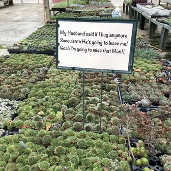 DeMonye's Greenhouse - Nurseries & Gardening Near Me - Columbus, Ohio