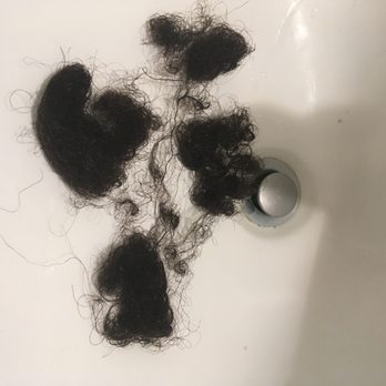 Salon 809 - Hair clunks that fell out after my first visit to 809 Salon. - Hair Salons Near Me - Hyattsville, Maryland Salon 809 - Hair clunks that fell out after my first visit to 809 Salon. - Hair Salons Near Me - Hyattsville, Maryland