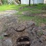 Photo of D & Z Septic Services