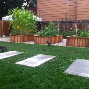 Pro Time Lawn Seed - ProTime Rough and Ready Lawn planted this last spring. Still super green after triple digit heat this summer in Boise Idaho - Nurseries & Gardening Near Me - Portland, Oregon Pro Time Lawn Seed - ProTime Rough and Ready Lawn planted this last spring. Still super green after triple digit heat this summer in Boise Idaho - Nurseries & Gardening Near Me - Portland, Oregon
