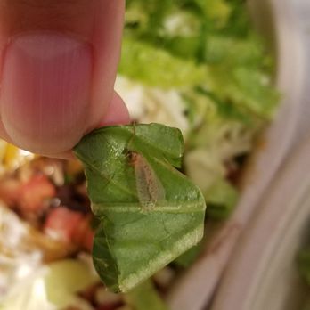 Chipotle Mexican Grill - Disgusting - Fast Food Near Me - Tracy, California