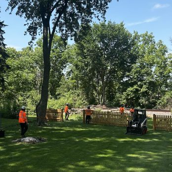 Abbott Tree Care Professionals - Tree #2, 70 foot dead pine tree already removed - Tree Services Near Me - Bartlett, Illinois