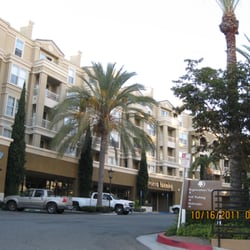Pinacle Real Estate Services