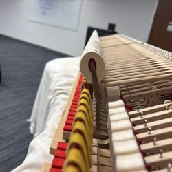 Piano Arts