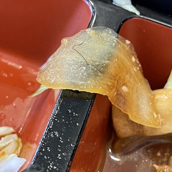Kimchi Box - Hair found in the food - Korean Near Me - Plymouth, Michigan Kimchi Box - Hair found in the food - Korean Near Me - Plymouth, Michigan