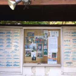 Old Dutchman - Local posting