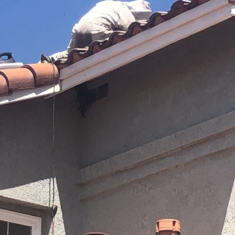 Bee Wranglers - Pest Control Near Me - Riverside, California Bee Wranglers - Pest Control Near Me - Riverside, California