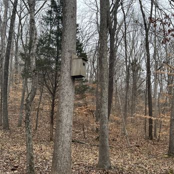 Nathan Bedford Forrest State Park - Parks Near Me - Eva, Tennessee