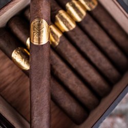 Cuban Seed Cigar Co - GV2 22 year old Habano corojo
