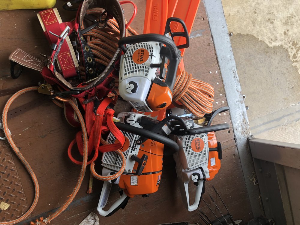 Timber Wood Tree Service - tree service in Massapequa, NY