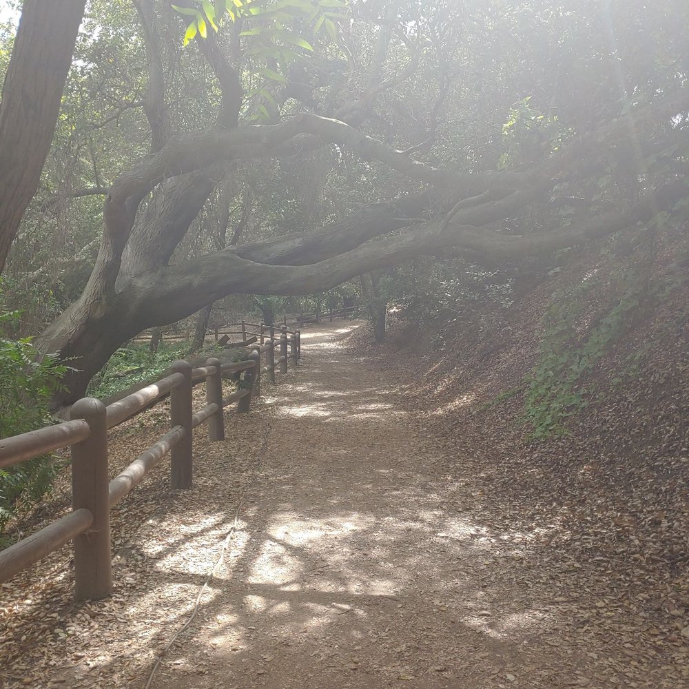 Sycamore Canyon Trail - Parks Near Me - Whittier, California Sycamore Canyon Trail - Parks Near Me - Whittier, California