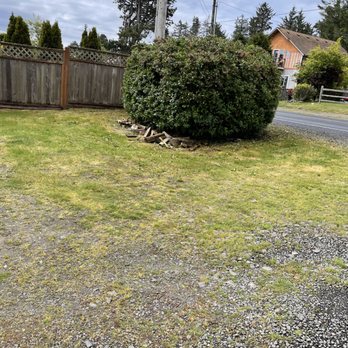 Lasting Affordable Lawn Care - Hedge - Lawn Services Near Me Lasting Affordable Lawn Care - Hedge - Lawn Services Near Me