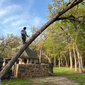 Shamblin's Tree Service - Professional tree removal service in Burleson, TX - Tree Services Near Me - Burleson, Texas Shamblin's Tree Service - Professional tree removal service in Burleson, TX - Tree Services Near Me - Burleson, Texas