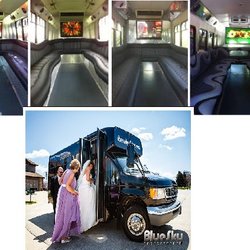 Cheesehead Limousine