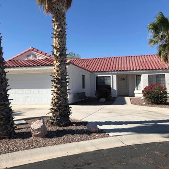 The Palm Tree Guy - the palm trees in front of the house - Tree Services Near Me