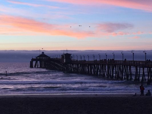 The Tin Fish by null