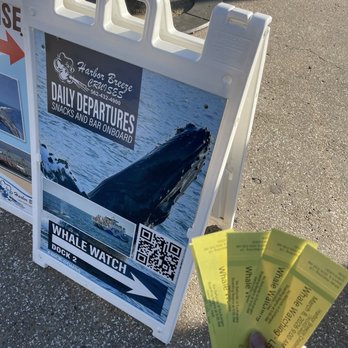 Harbor Breeze - Tickets for the ride - Boat Charters Near Me - Long Beach, California Harbor Breeze - Tickets for the ride - Boat Charters Near Me - Long Beach, California