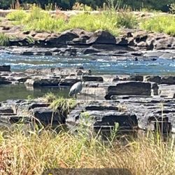 Elkton Rv Park - View down at the River