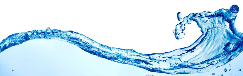 Slide of G. Burgess and Sons