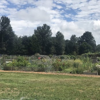 Marymoor Community Gardens - Community Gardens Near Me - Redmond, Washington Marymoor Community Gardens - Community Gardens Near Me - Redmond, Washington