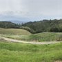 Photo of Volante Winery