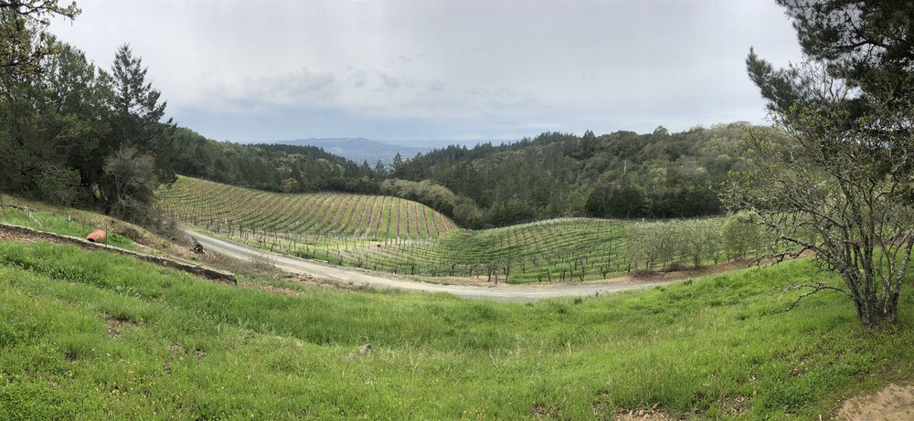 Volante Winery Logo