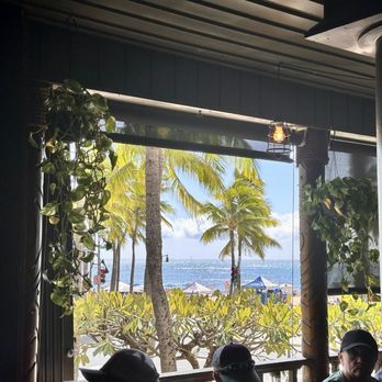 Lulu's Waikiki - View - Burgers Near Me - Honolulu, Hawaii