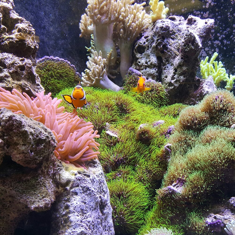 Even the fish are friendly! Even the fish are friendly!