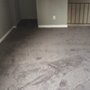 Photo of Redi Carpet