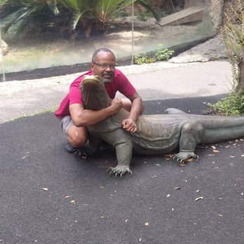 Audubon Zoo - Wreak - Aquariums Near Me - New Orleans, Louisiana