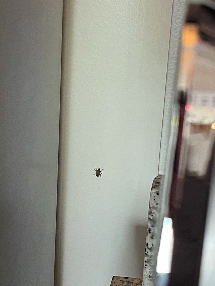 Allied Realty and Development - property management company in Tuscaloosa, AL