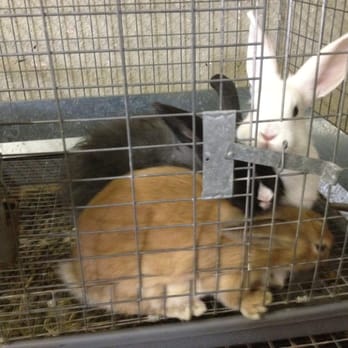 Reynoso's  Feed & Seed - Pet Stores Near Me - Modesto, California