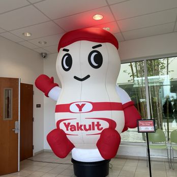 Yakult - Beverage Store Near Me - Fountain Valley, California Yakult - Beverage Store Near Me - Fountain Valley, California