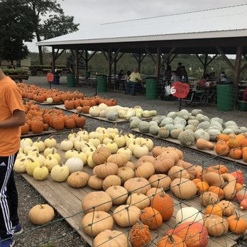 Homestead Farm - Fruits & Veggies Near Me - Poolesville, Maryland