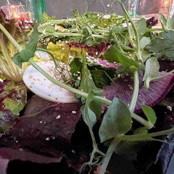 Comedor - Mexican Near Me - Austin, Texas