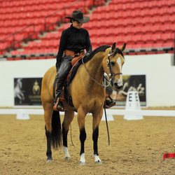 Plane View Farm - Working Equitation and Western Dressage