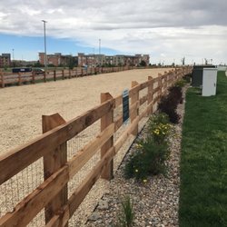 Belleview Station Dog Park - Dog park area