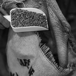 Mission Coffee