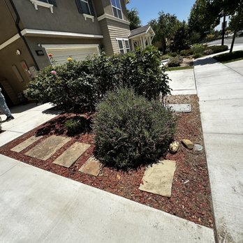 CM Landscaping Services - Beside driveway after - Tree Services Near Me