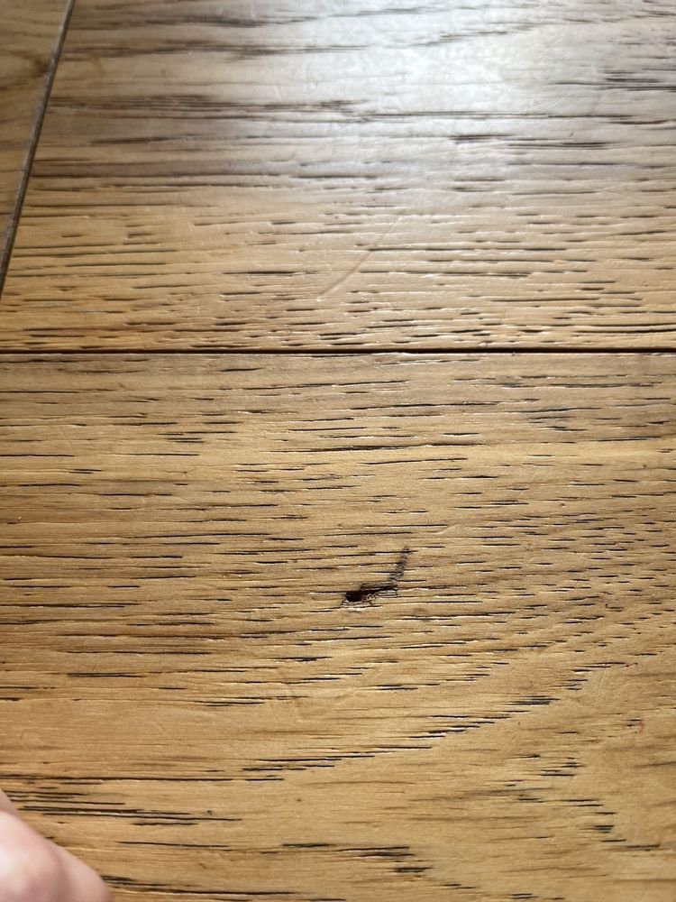 FIRESIDE HEARTH & HOME ROSEVILLE Updated August 2024 21 Photos