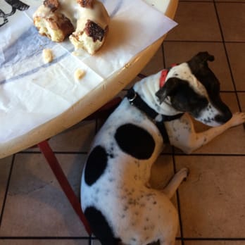 Glazed Donuts - Dog friendly!! - Donuts Near Me - Key West, Florida Glazed Donuts - Dog friendly!! - Donuts Near Me - Key West, Florida